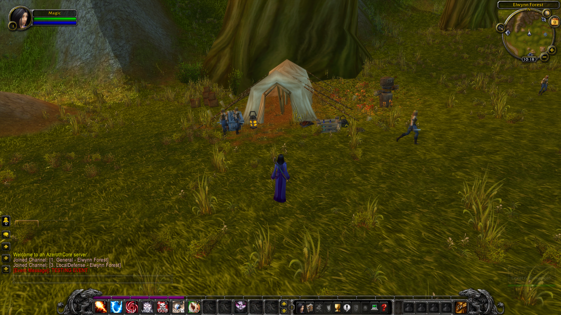NPCs Visible